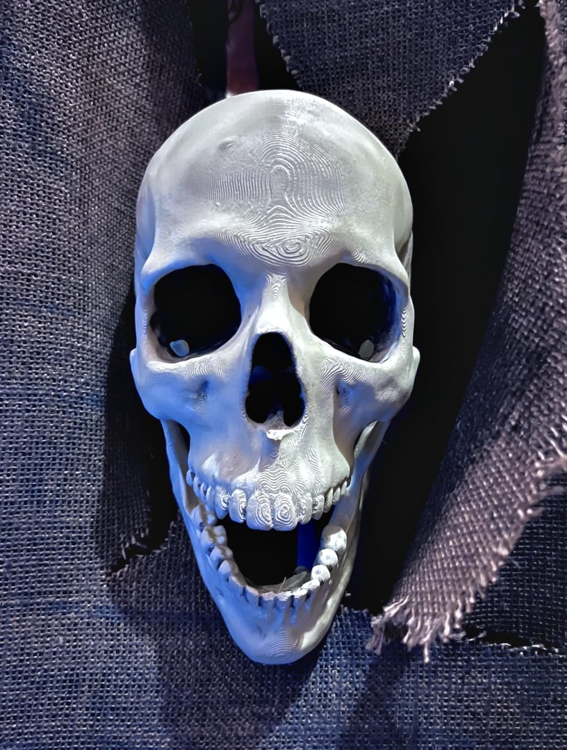 Fort Fright Haunted House Clacking Skull 