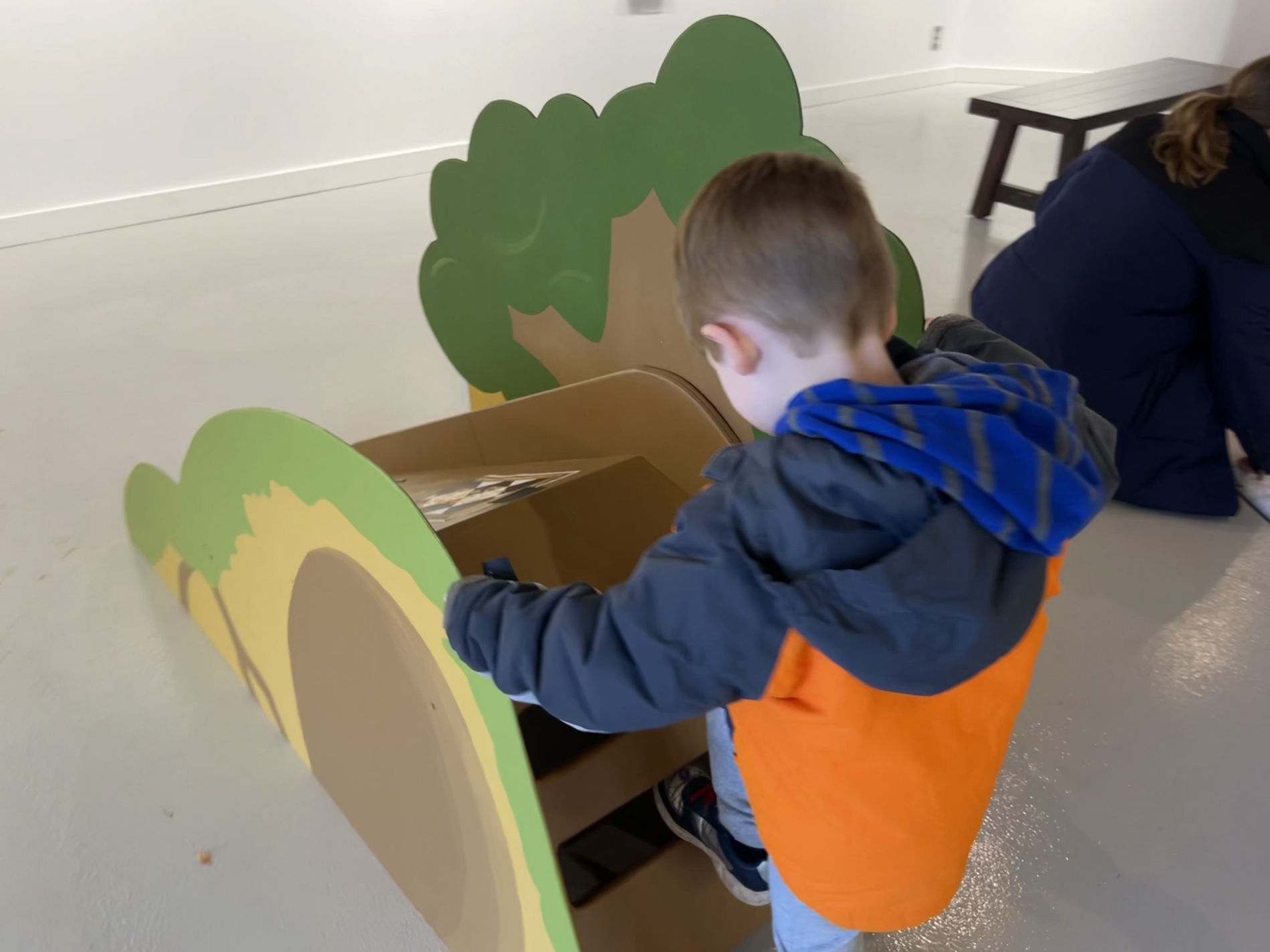 Boy and Slide
