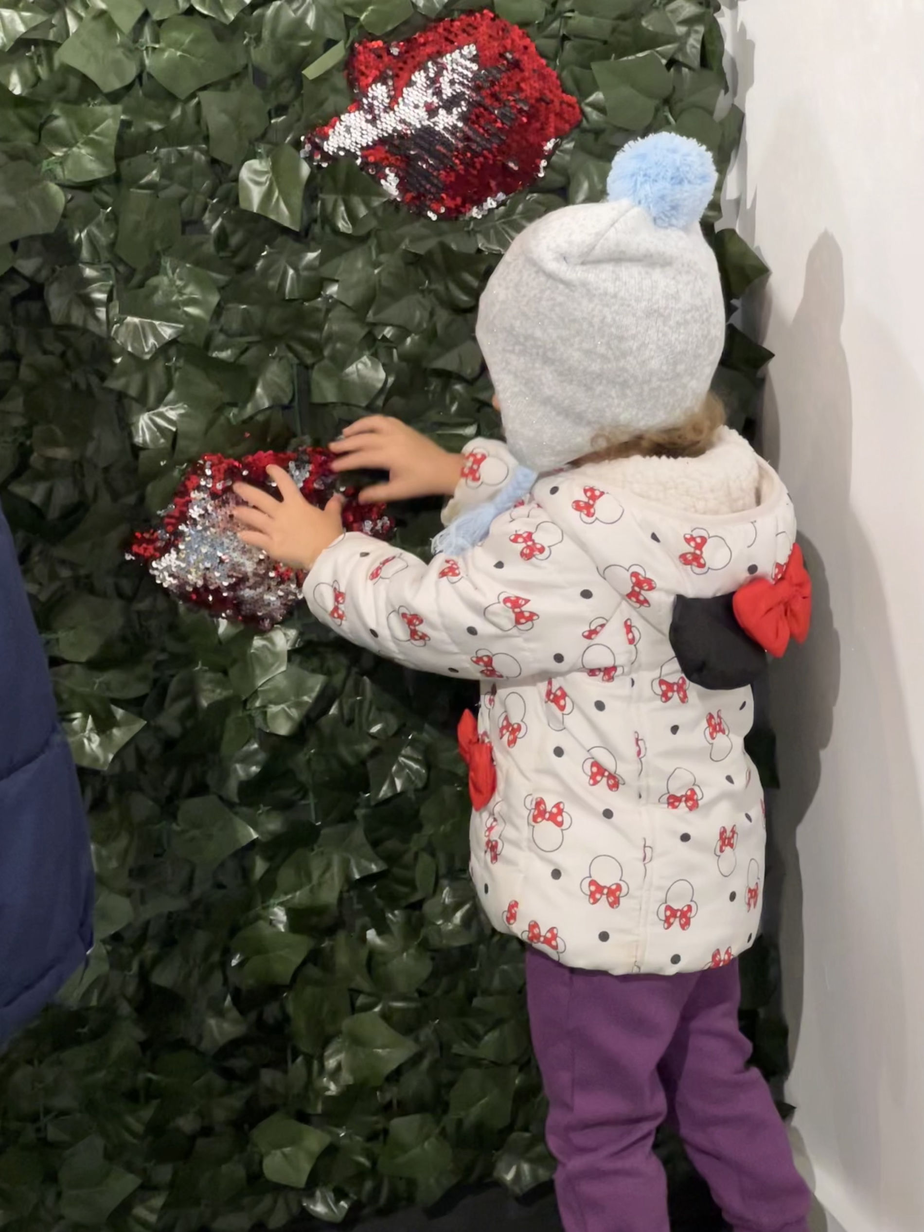 White-to-Red Rose Sensory Wall